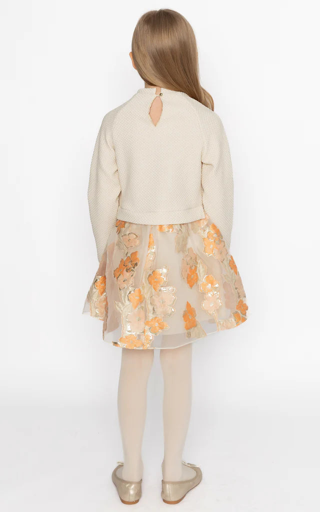 SheShe Somon Renkli Desenli Elbise