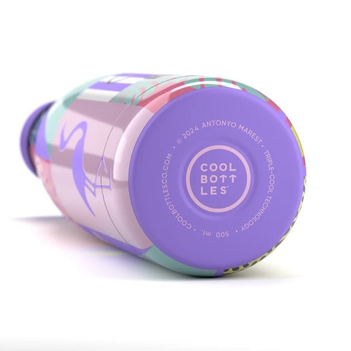 Cool Bottles Paslanmaz Çelik Şişe - The Bottle René 500ml